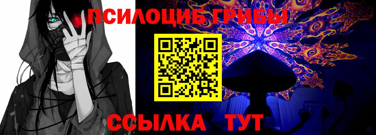 Луга  Галлюциногенные грибы мухоморы  продажа наркотиков  Вход с VPN 